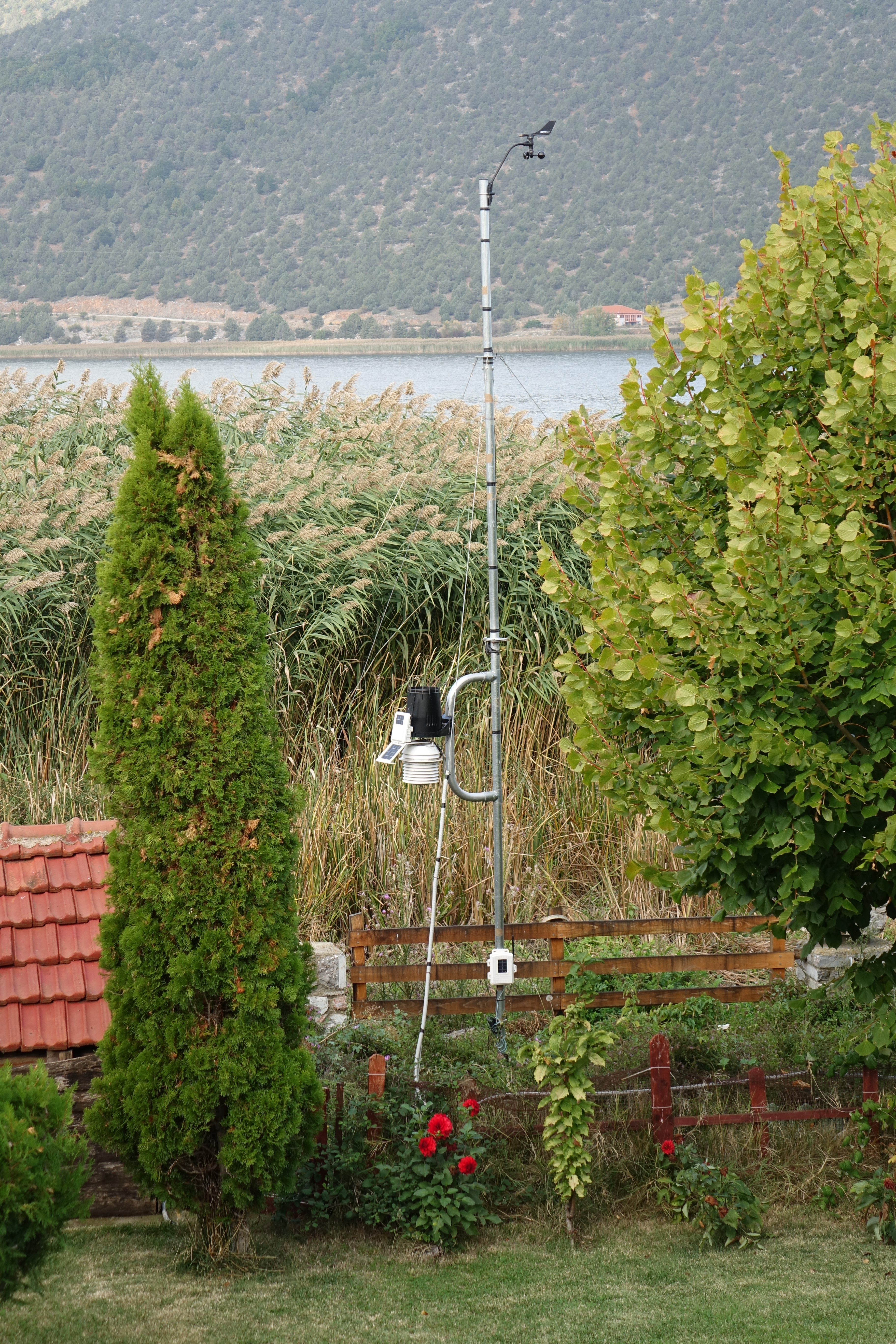 DSC05784