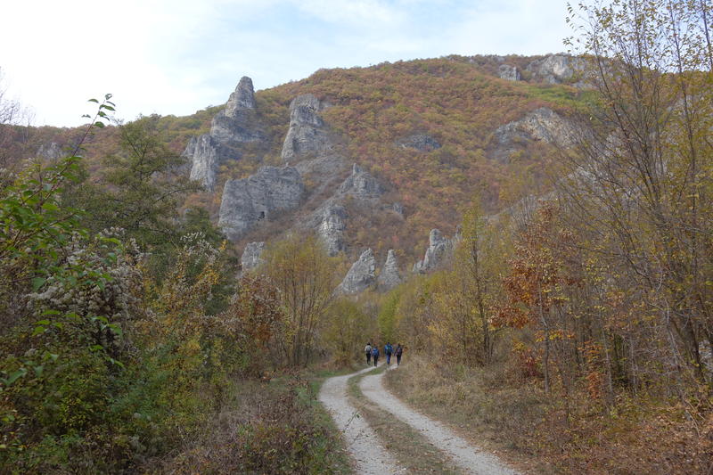 DSC06443