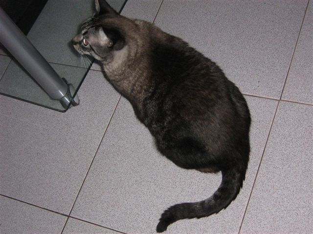 Picture 972