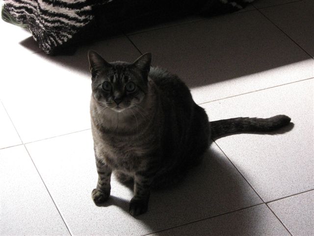 Picture 1035