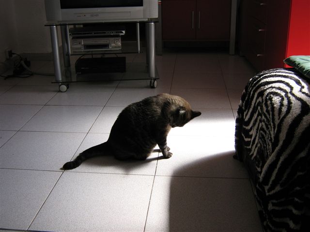 Picture 1044
