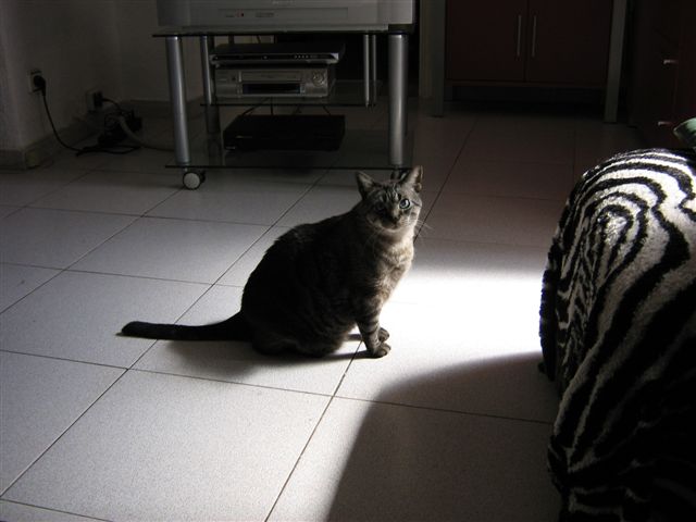 Picture 1045