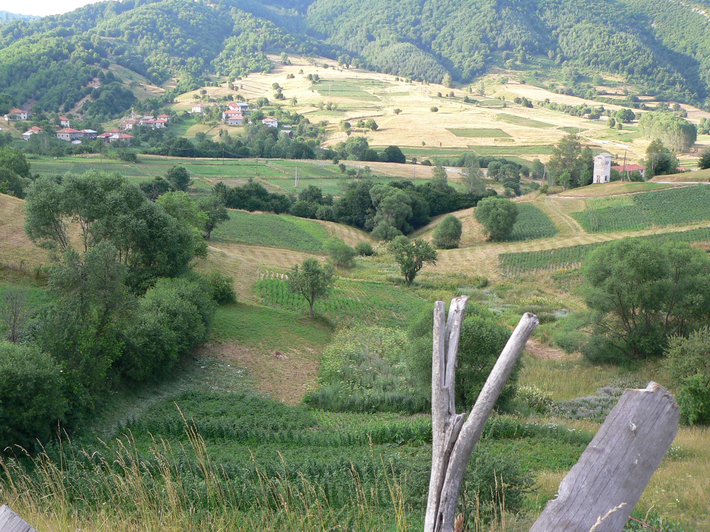 P1090520