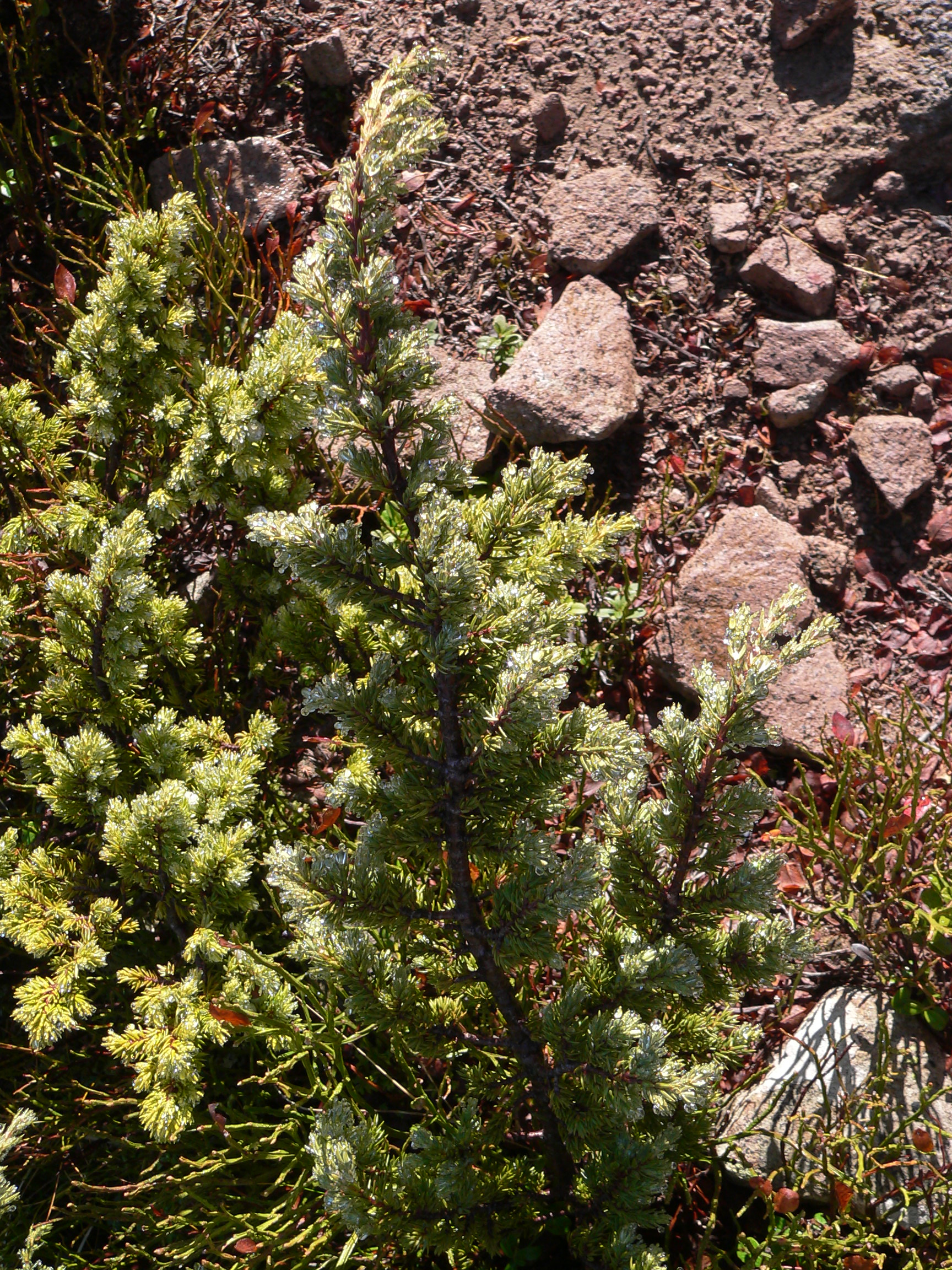 P1110836