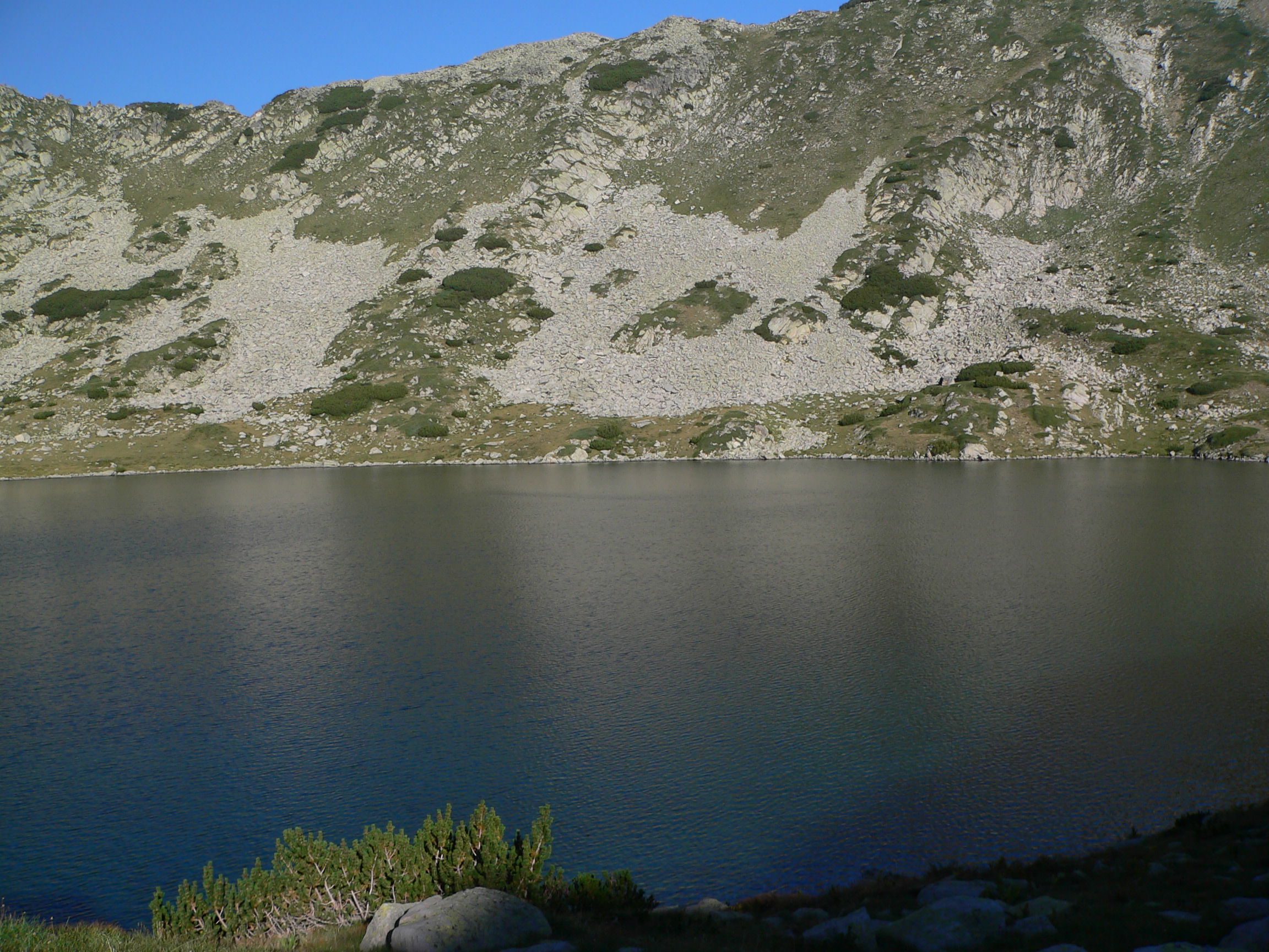 P1150456