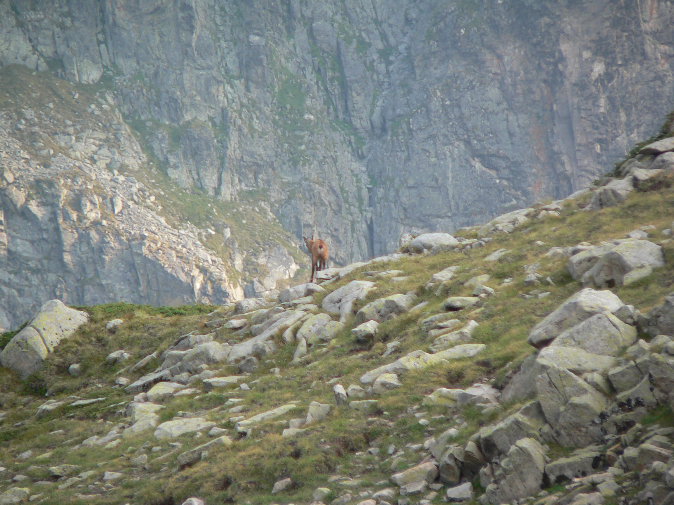P1150655