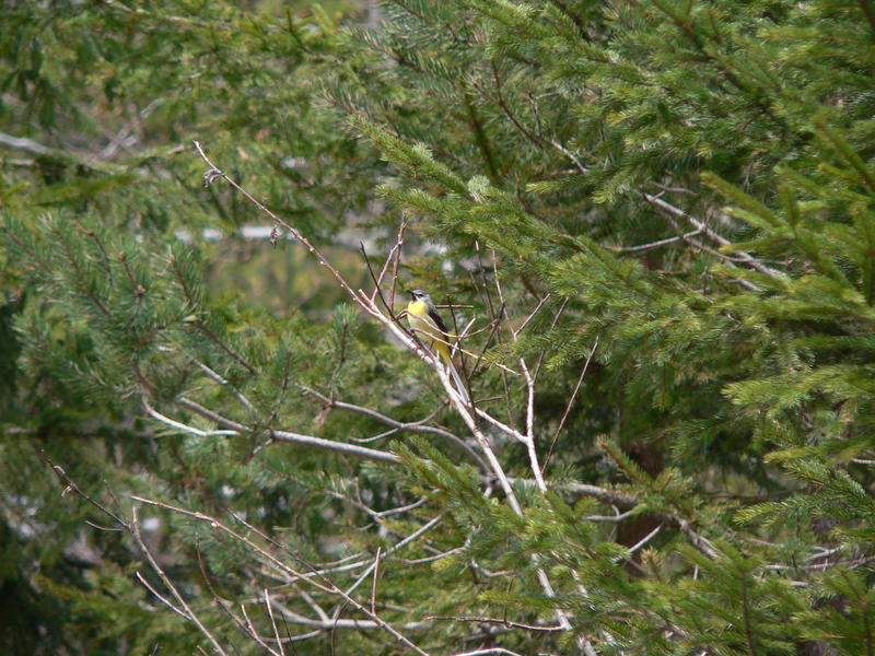 P1070124