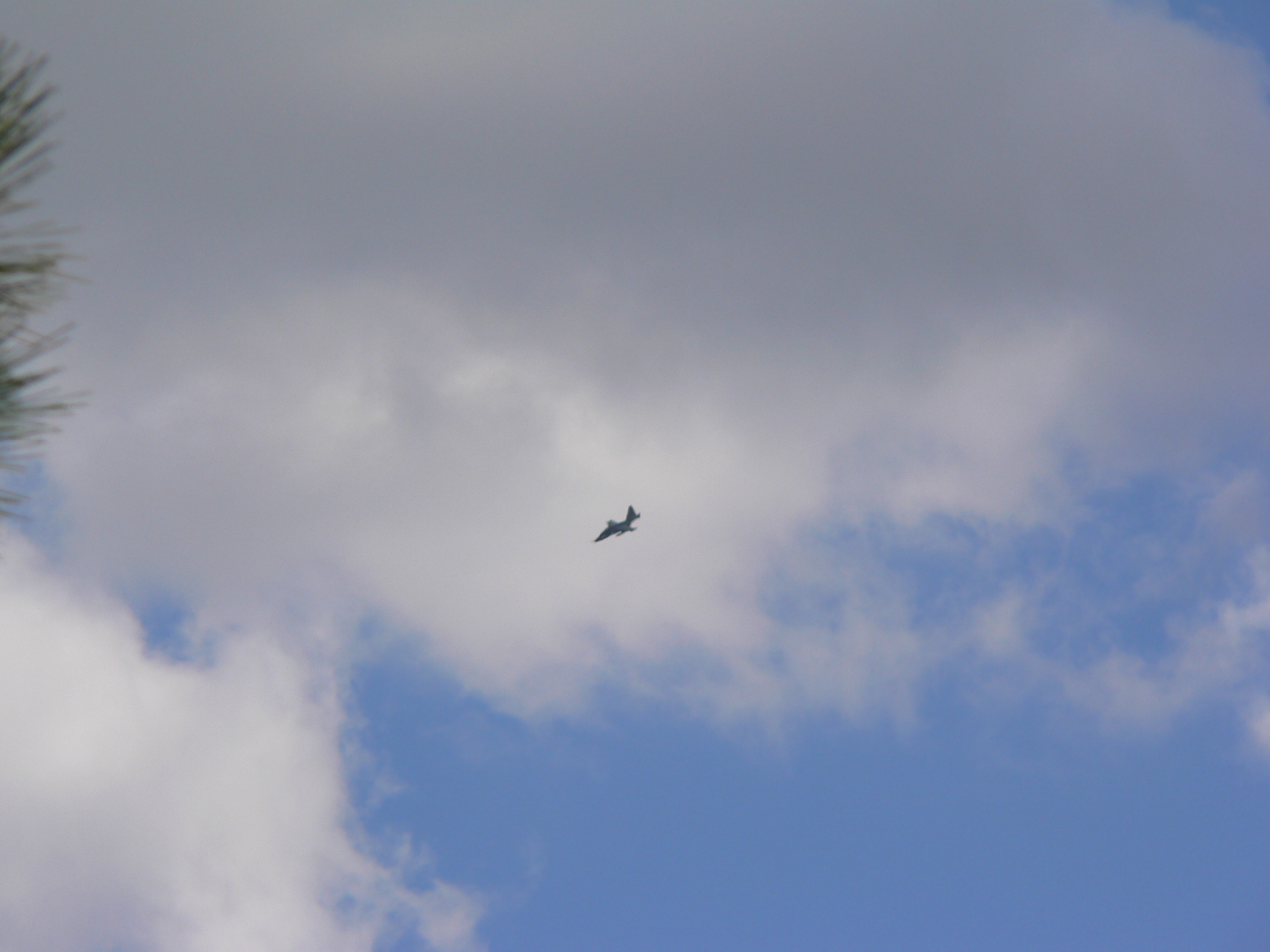 P1050598