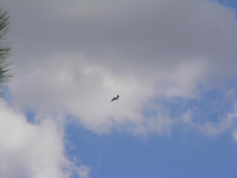 P1050598