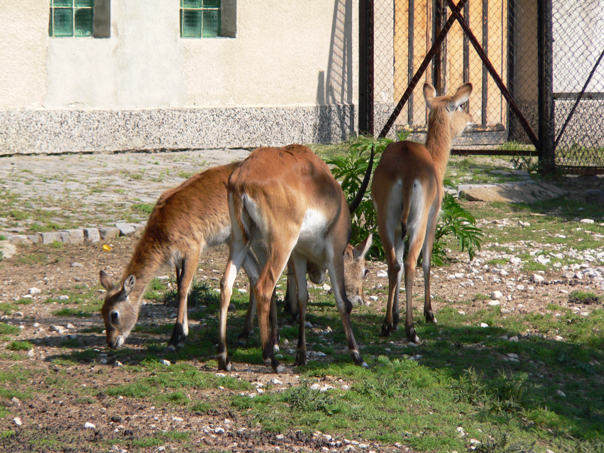 P1000564