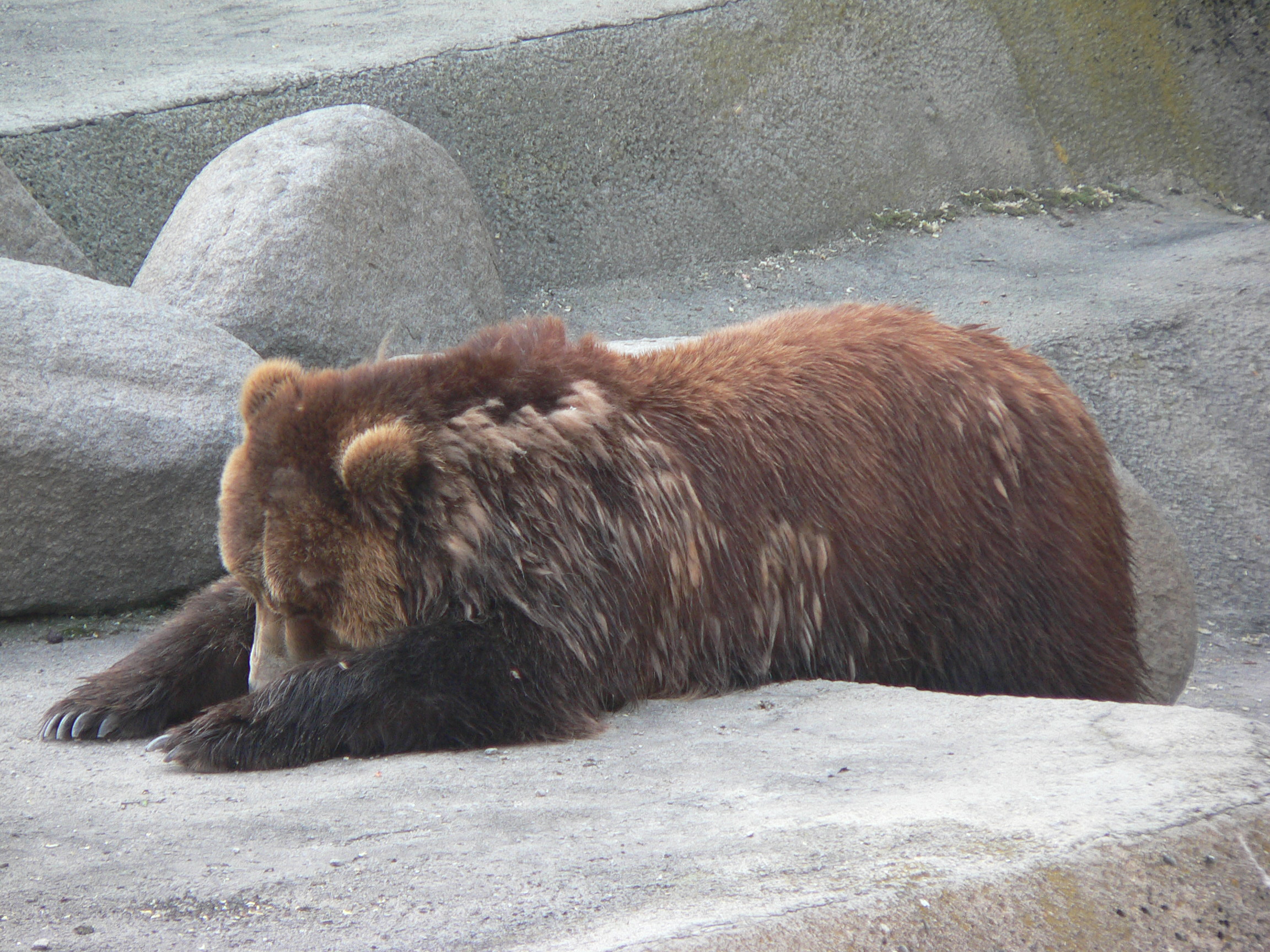 P1000645