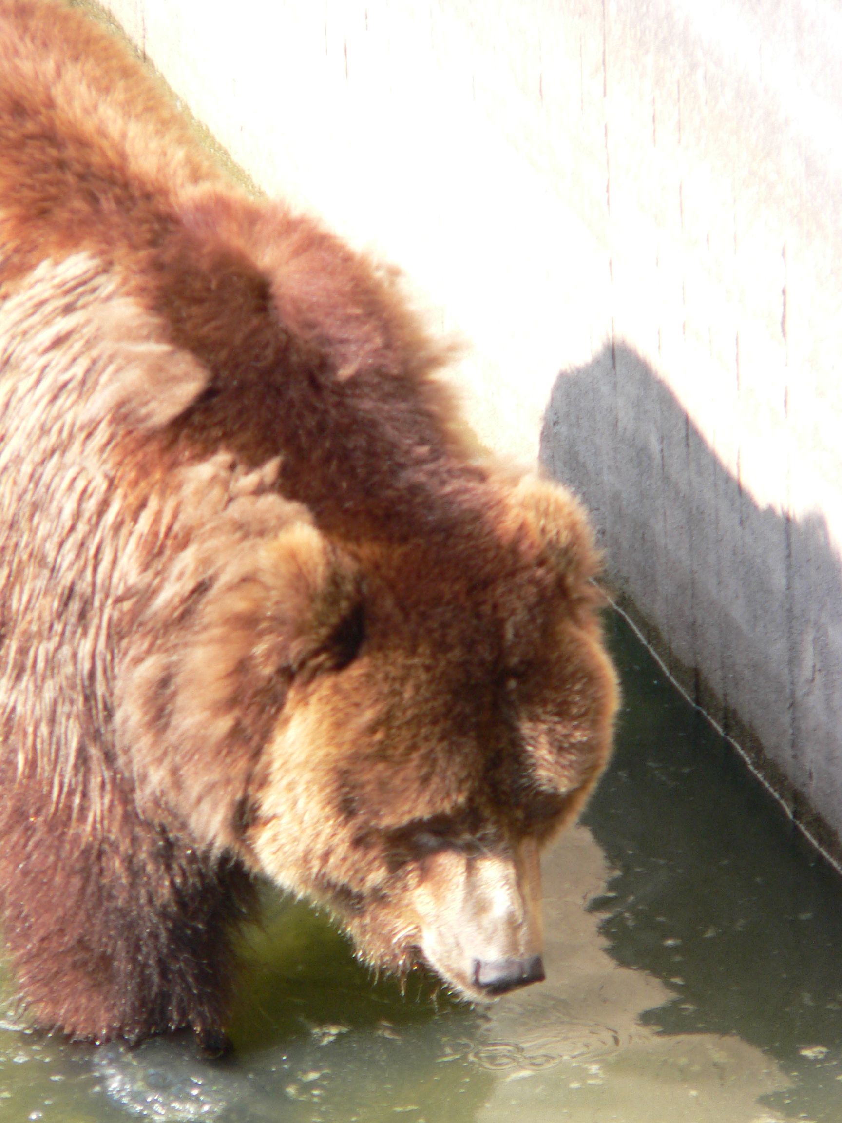 P1000655