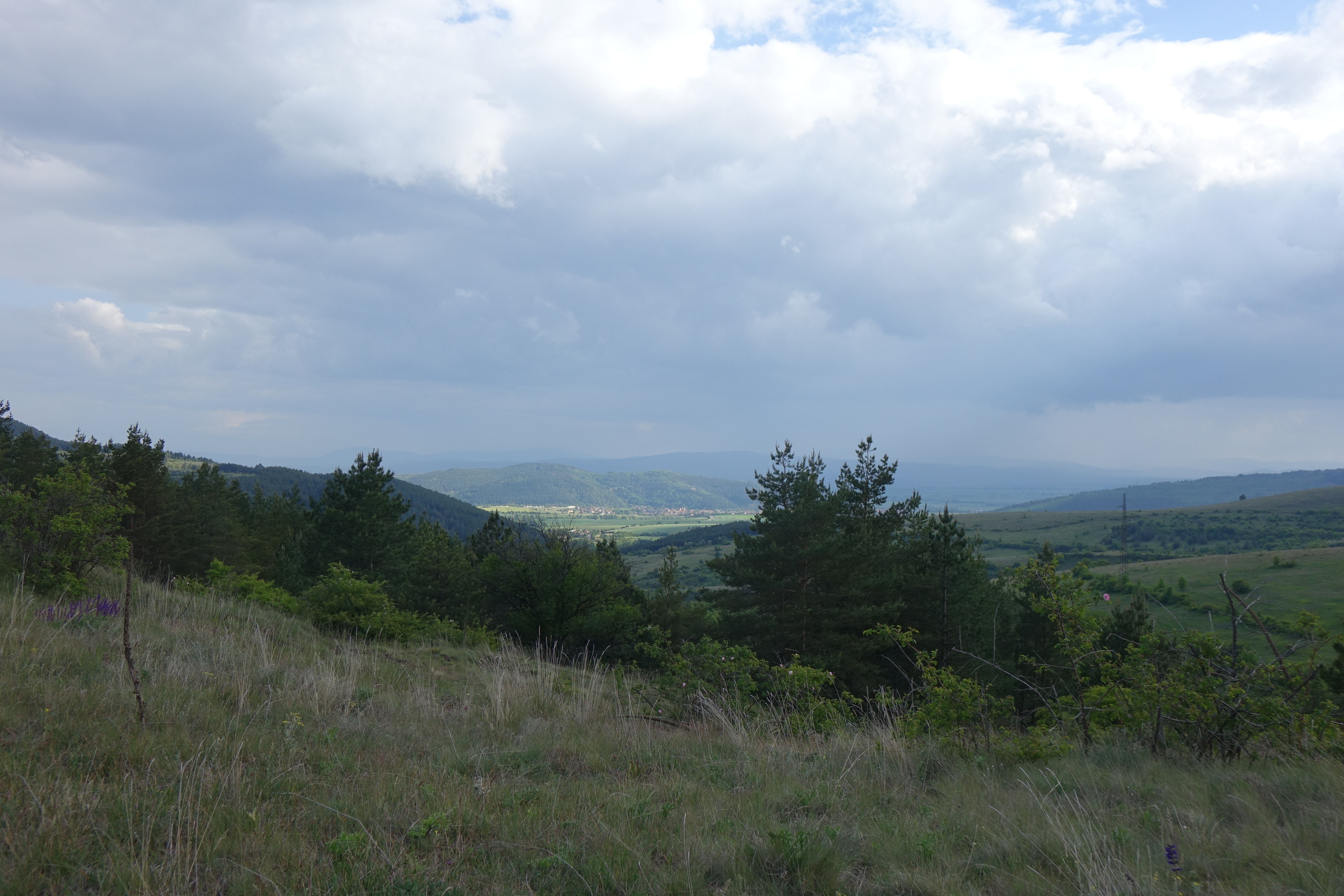 DSC00709