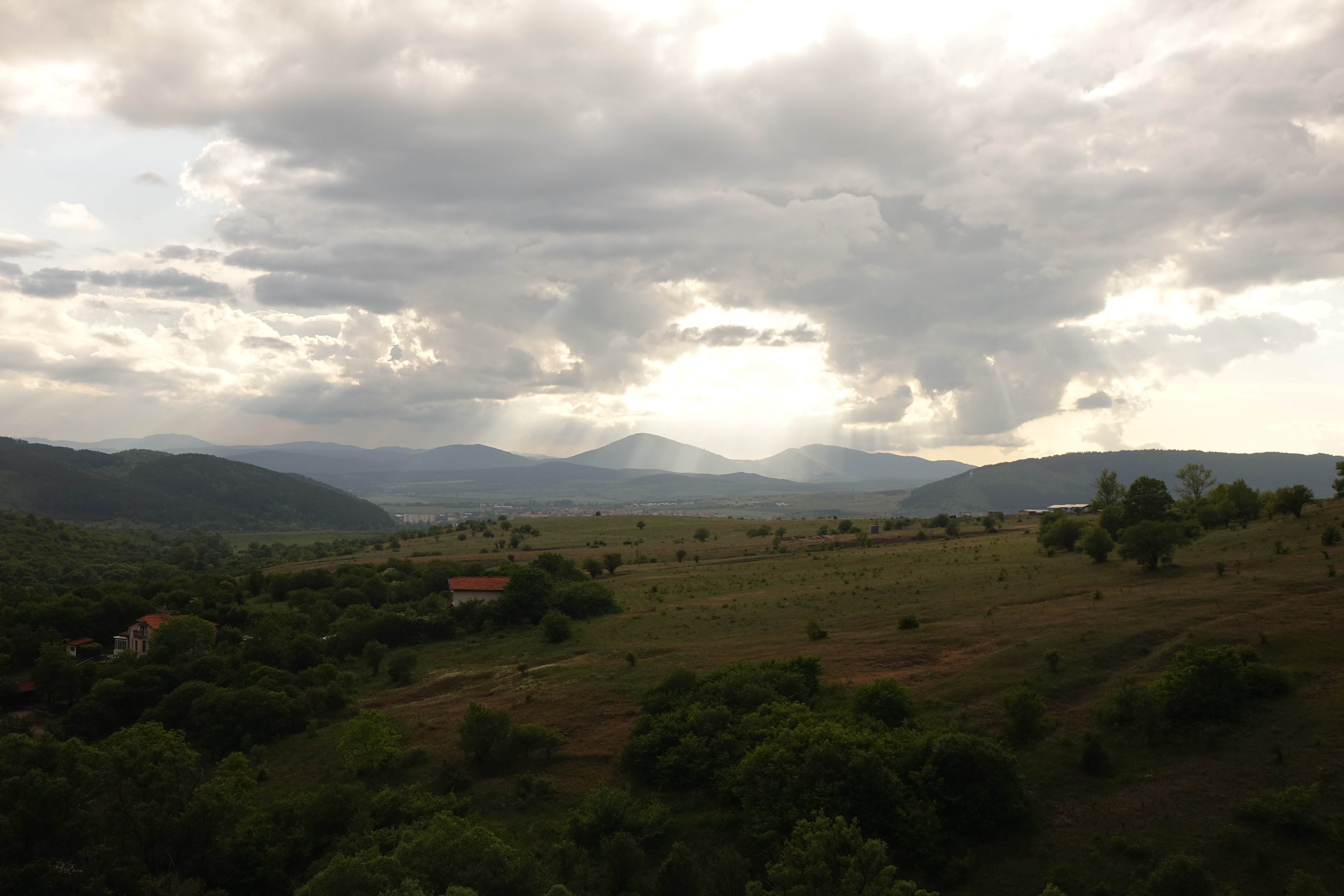DSC00722