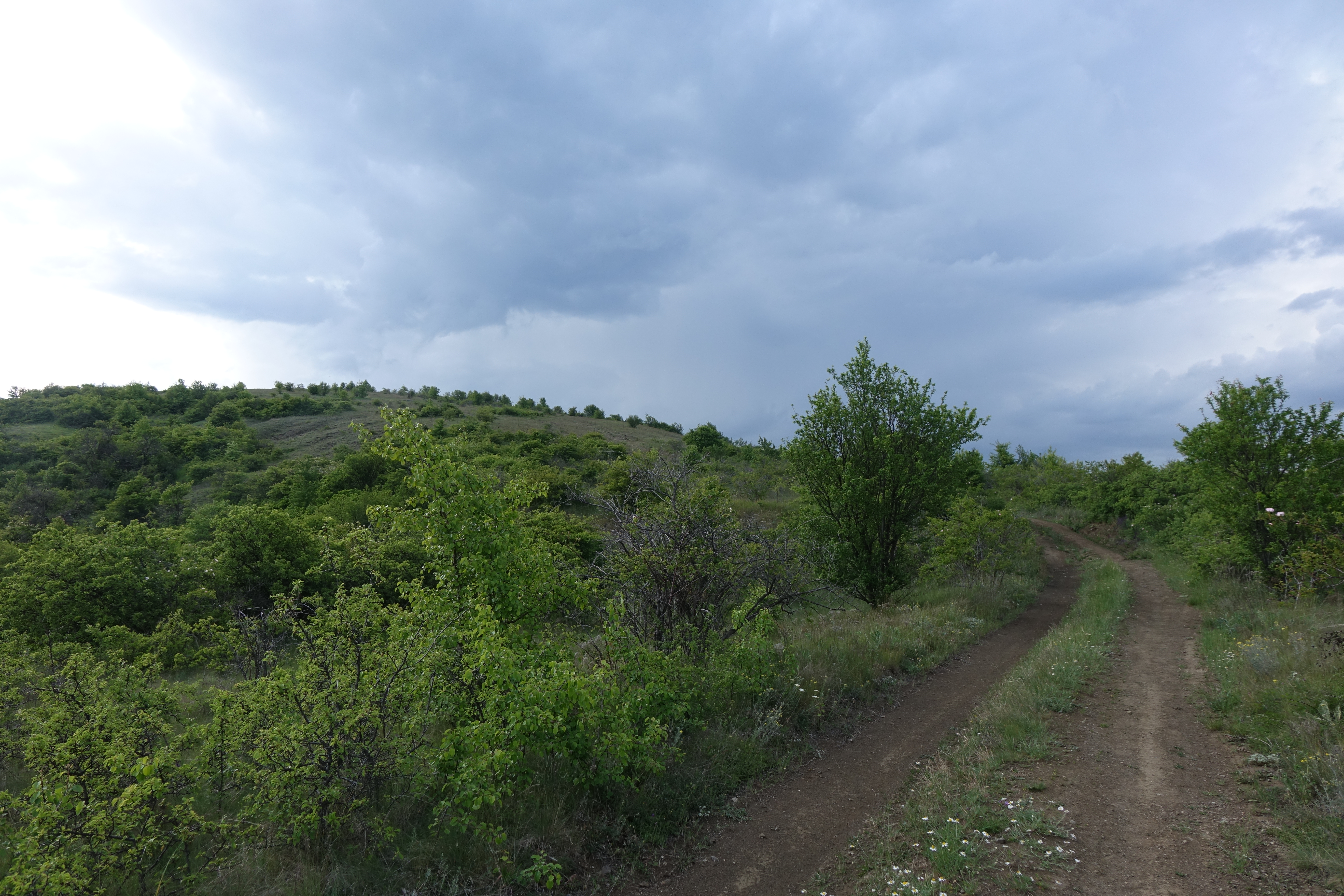DSC00708