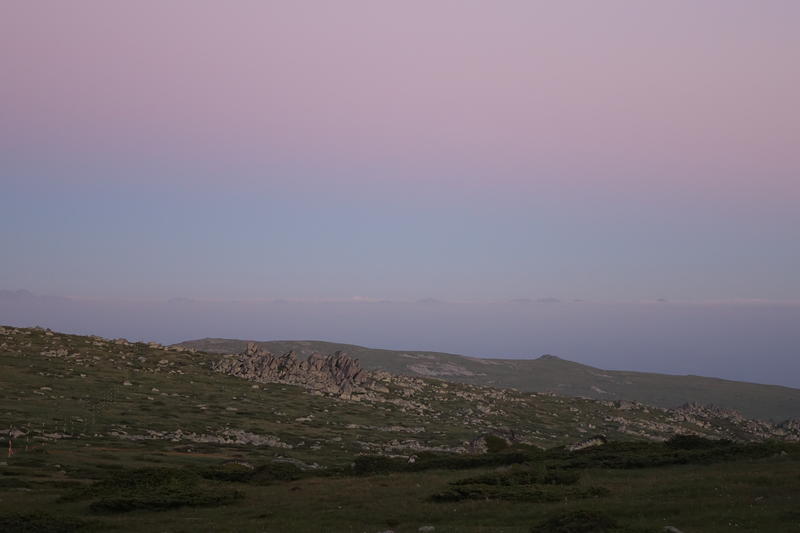 DSC01335