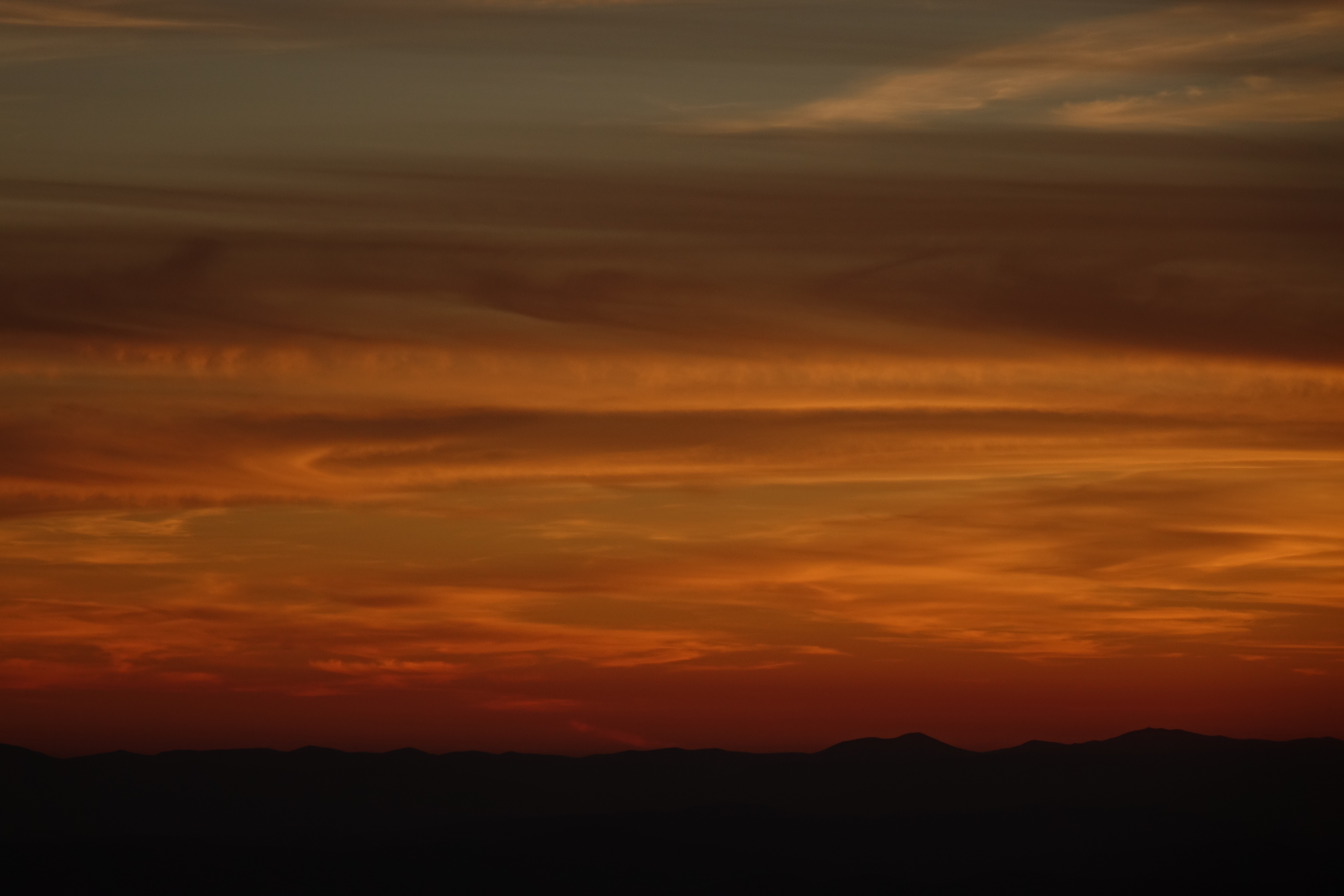 DSC01609