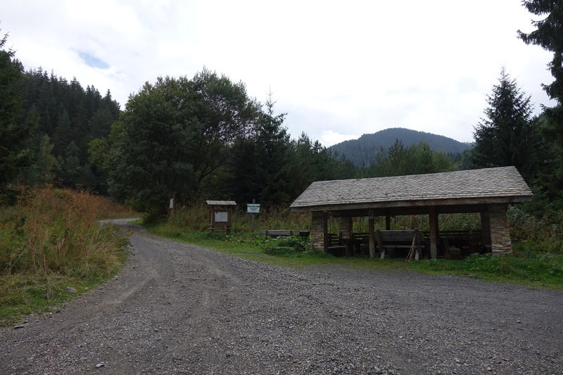 DSC05230