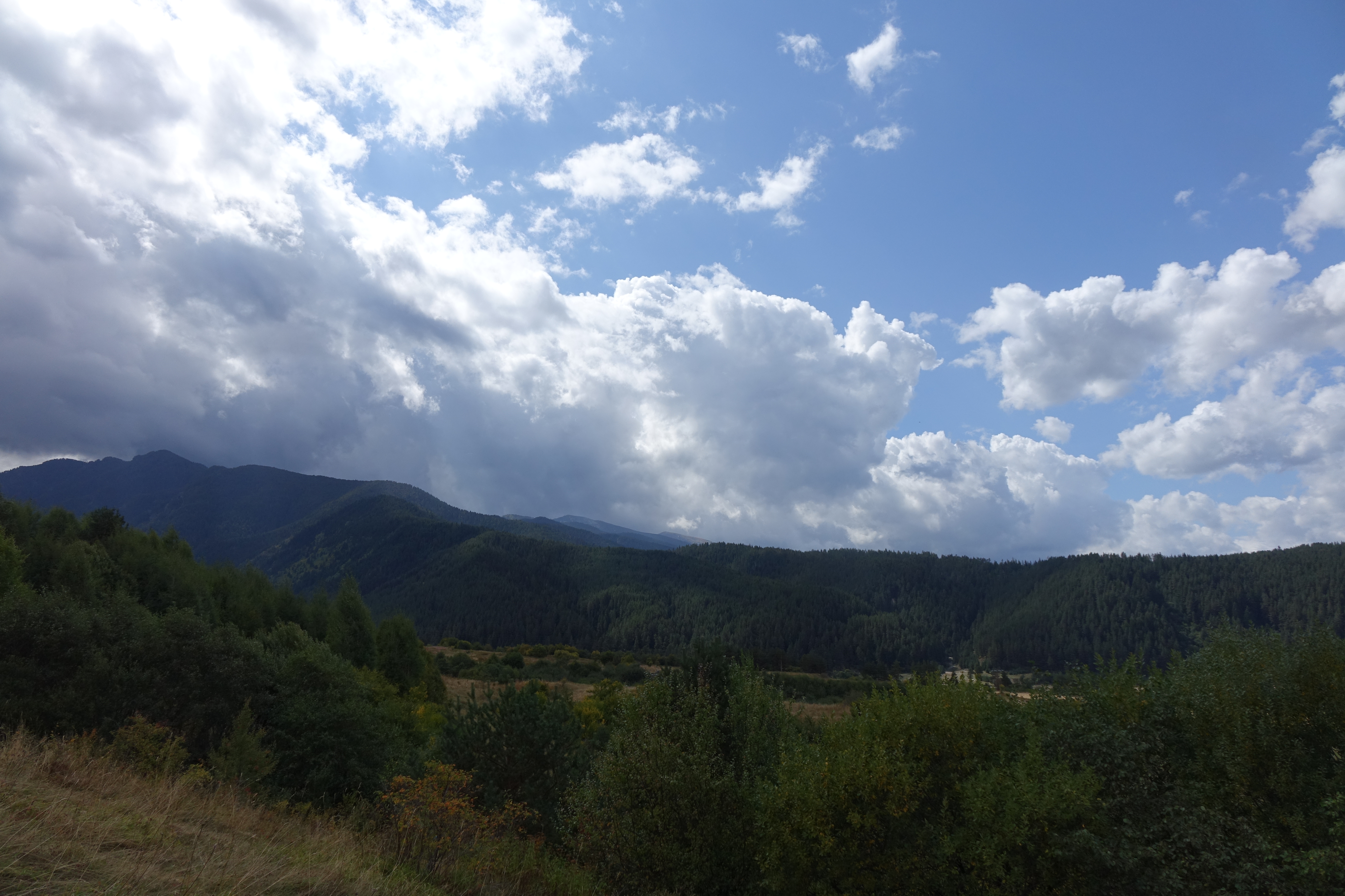 DSC05256