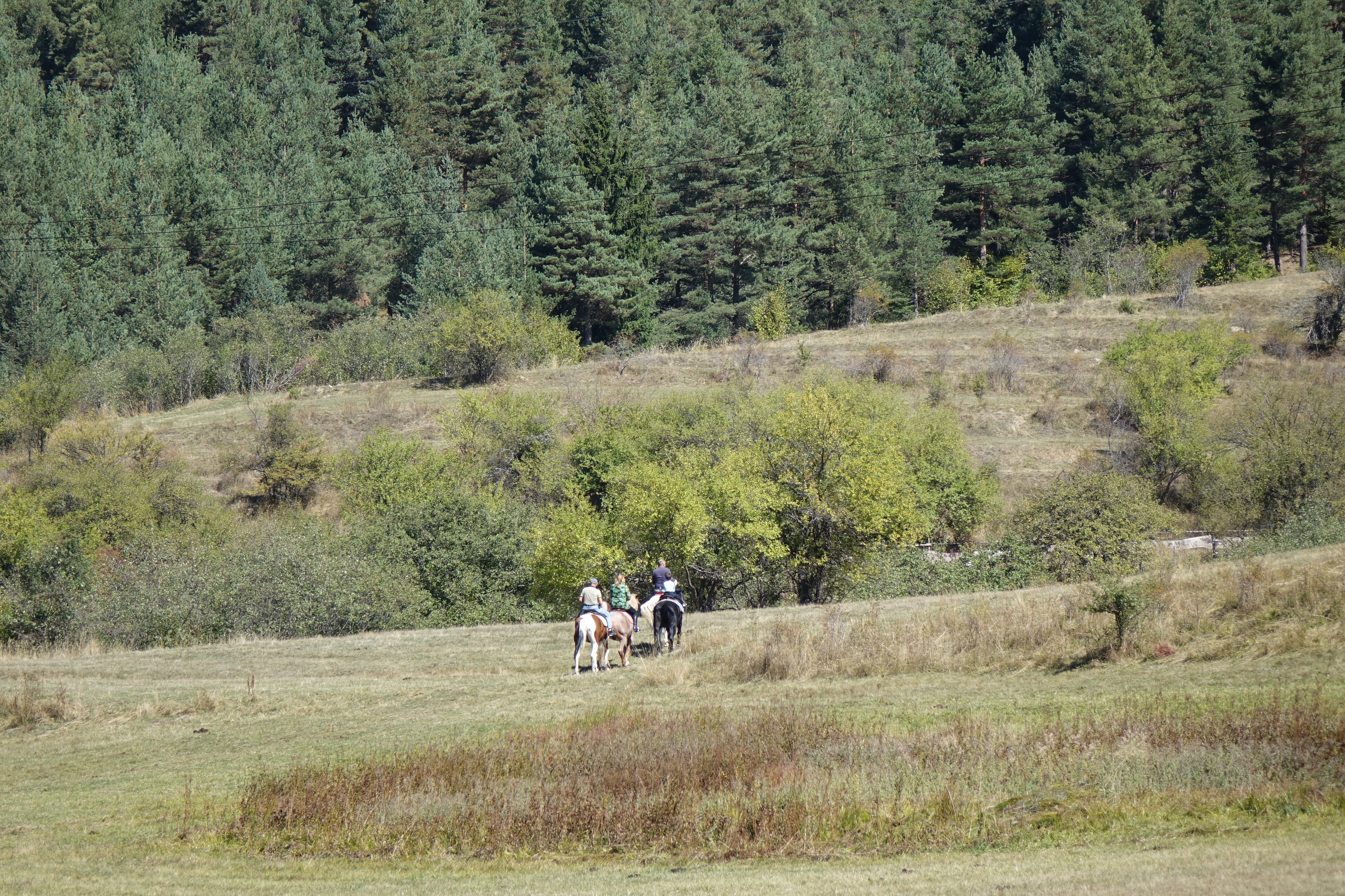 DSC05349