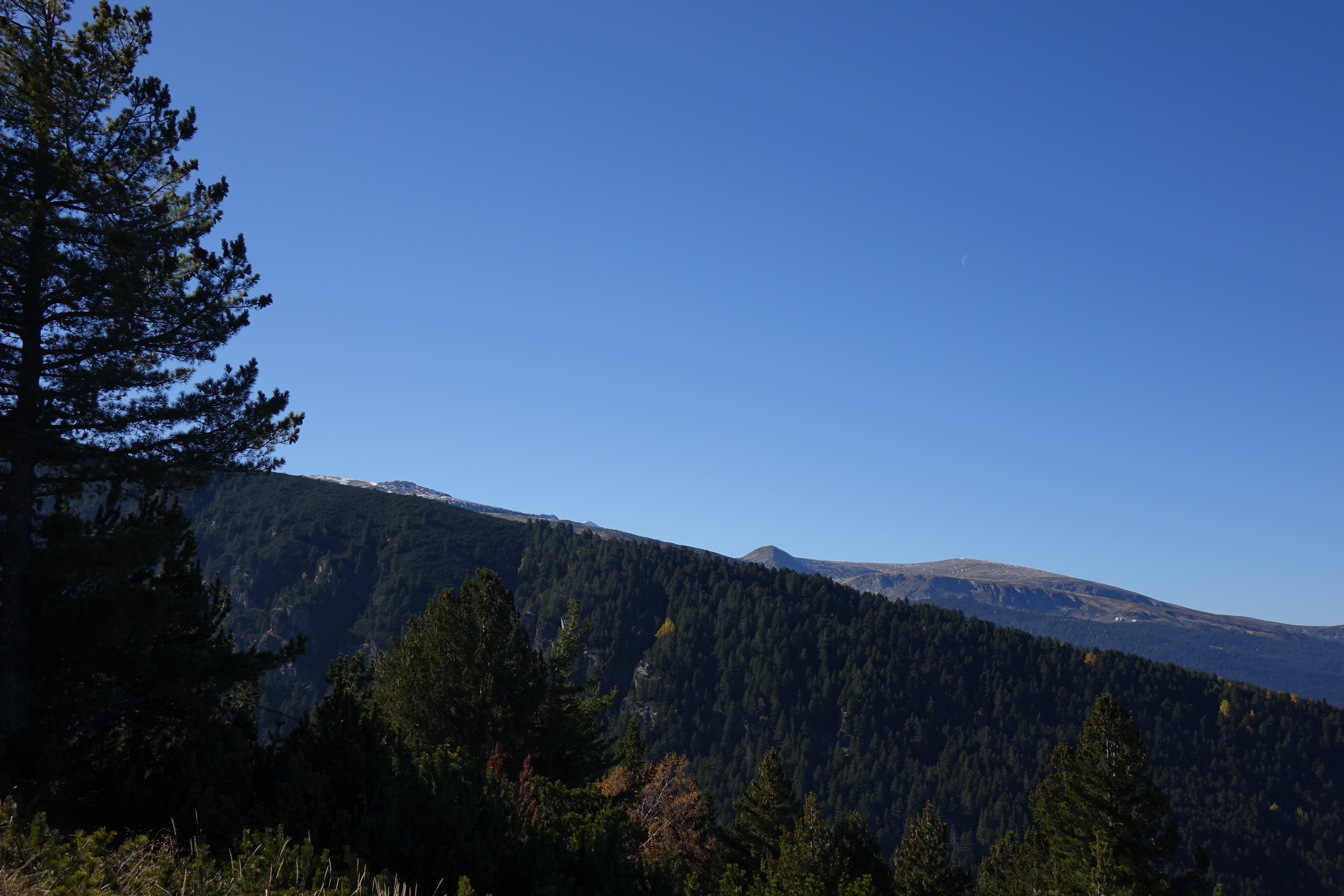 DSC05409
