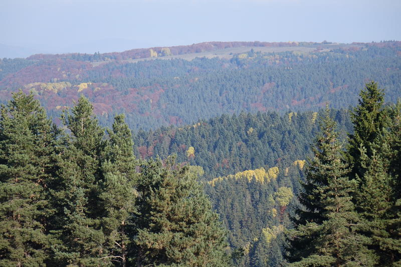 DSC05489