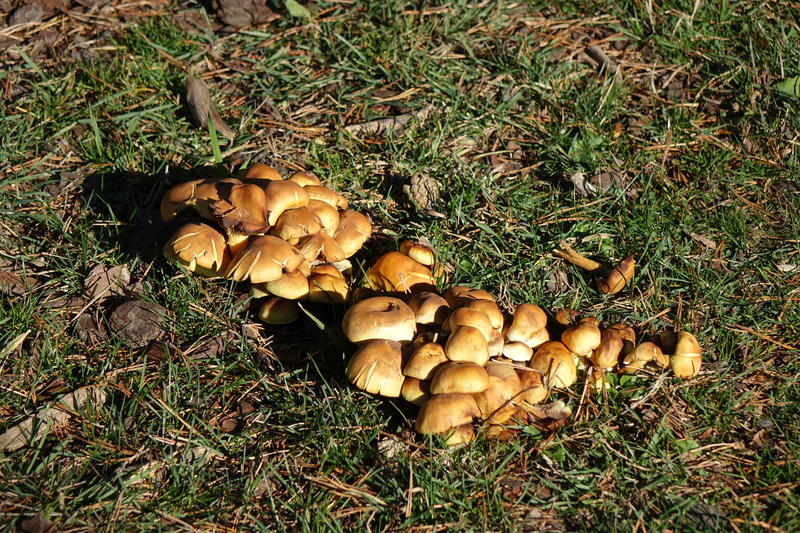 DSC05491