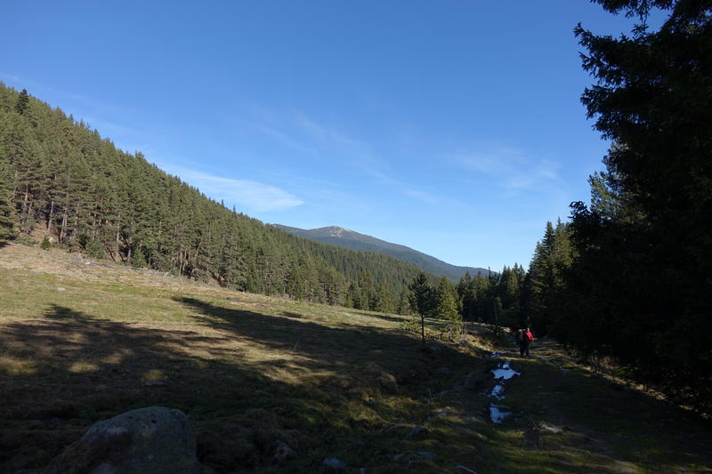 DSC05530