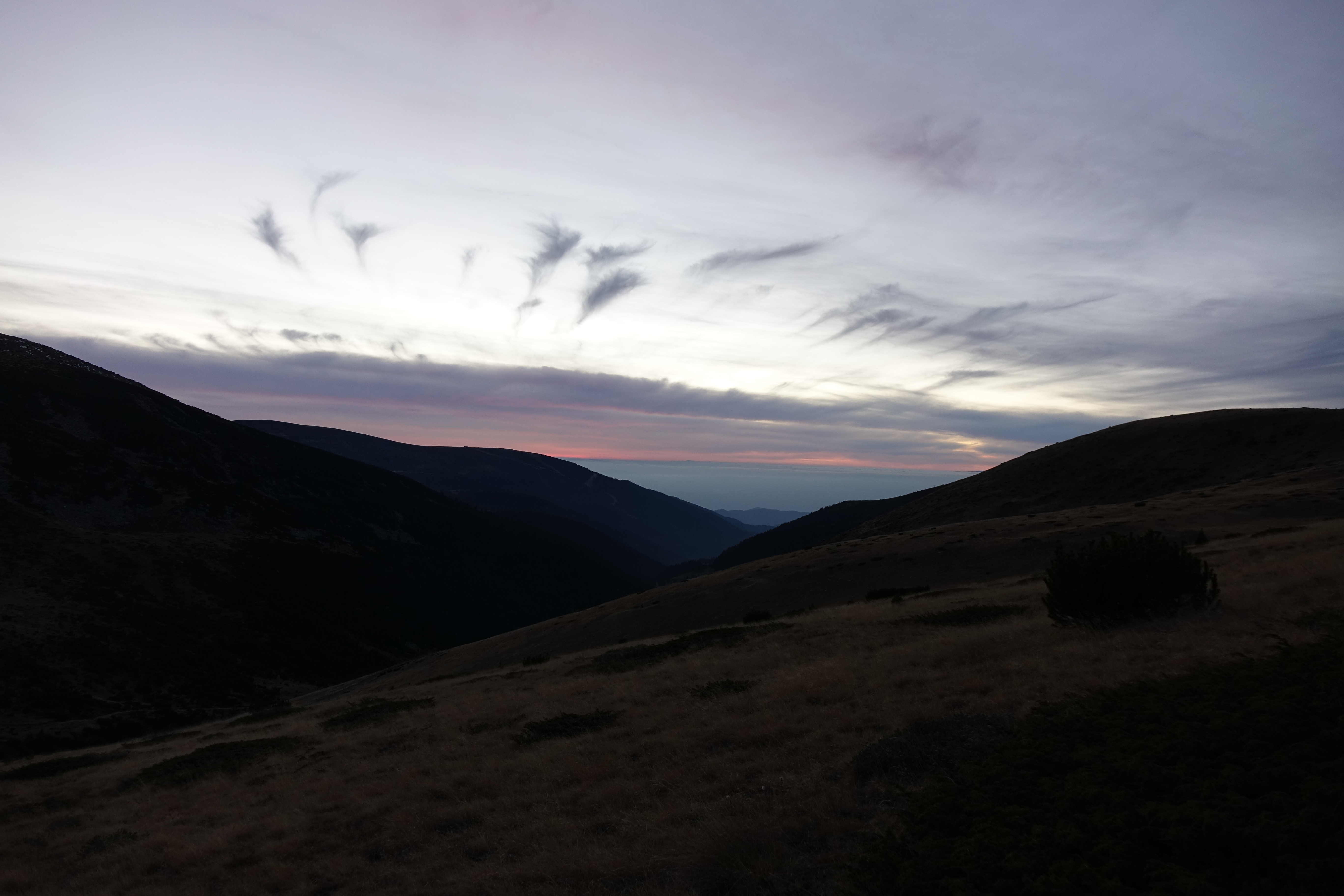 DSC05600