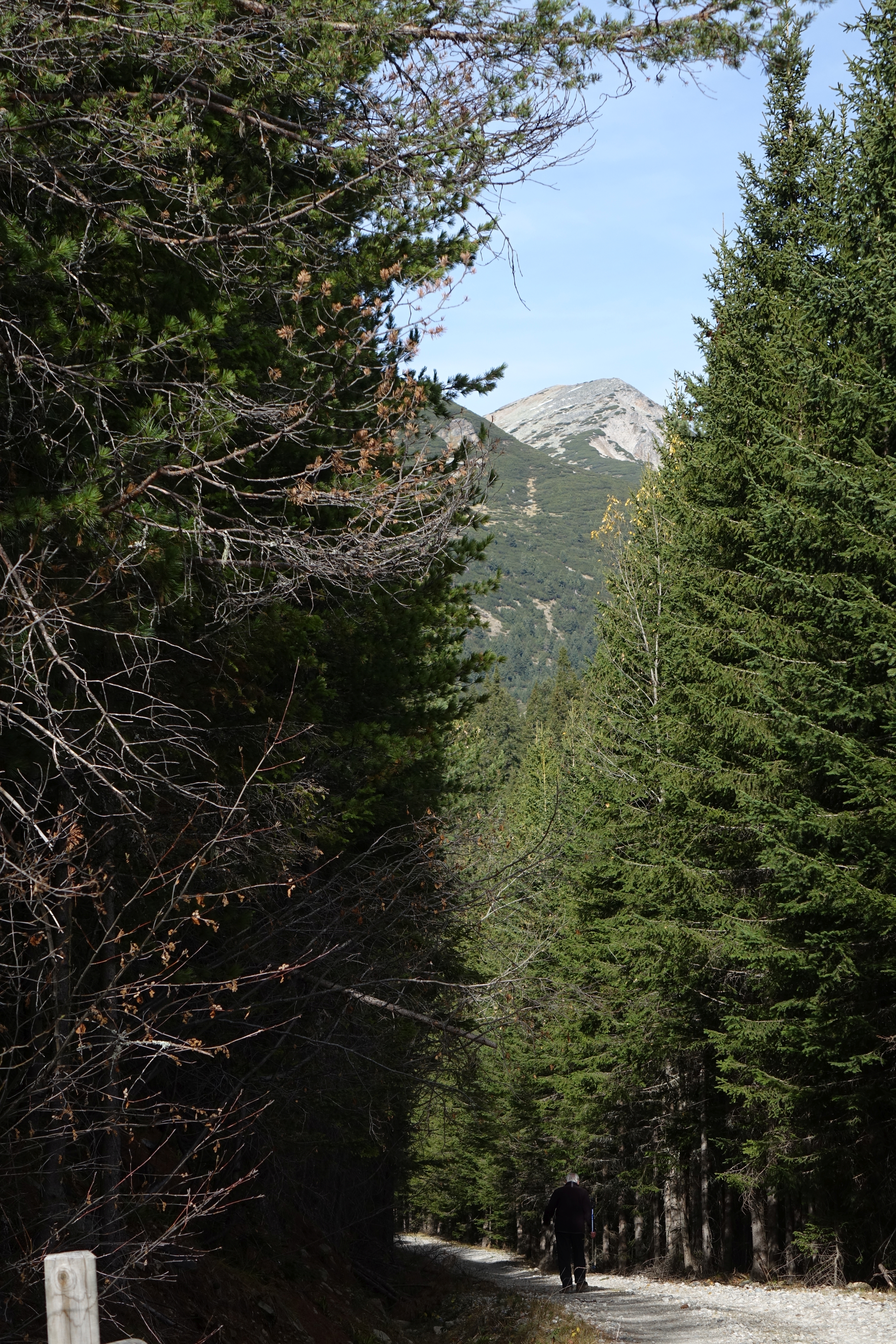 DSC05764