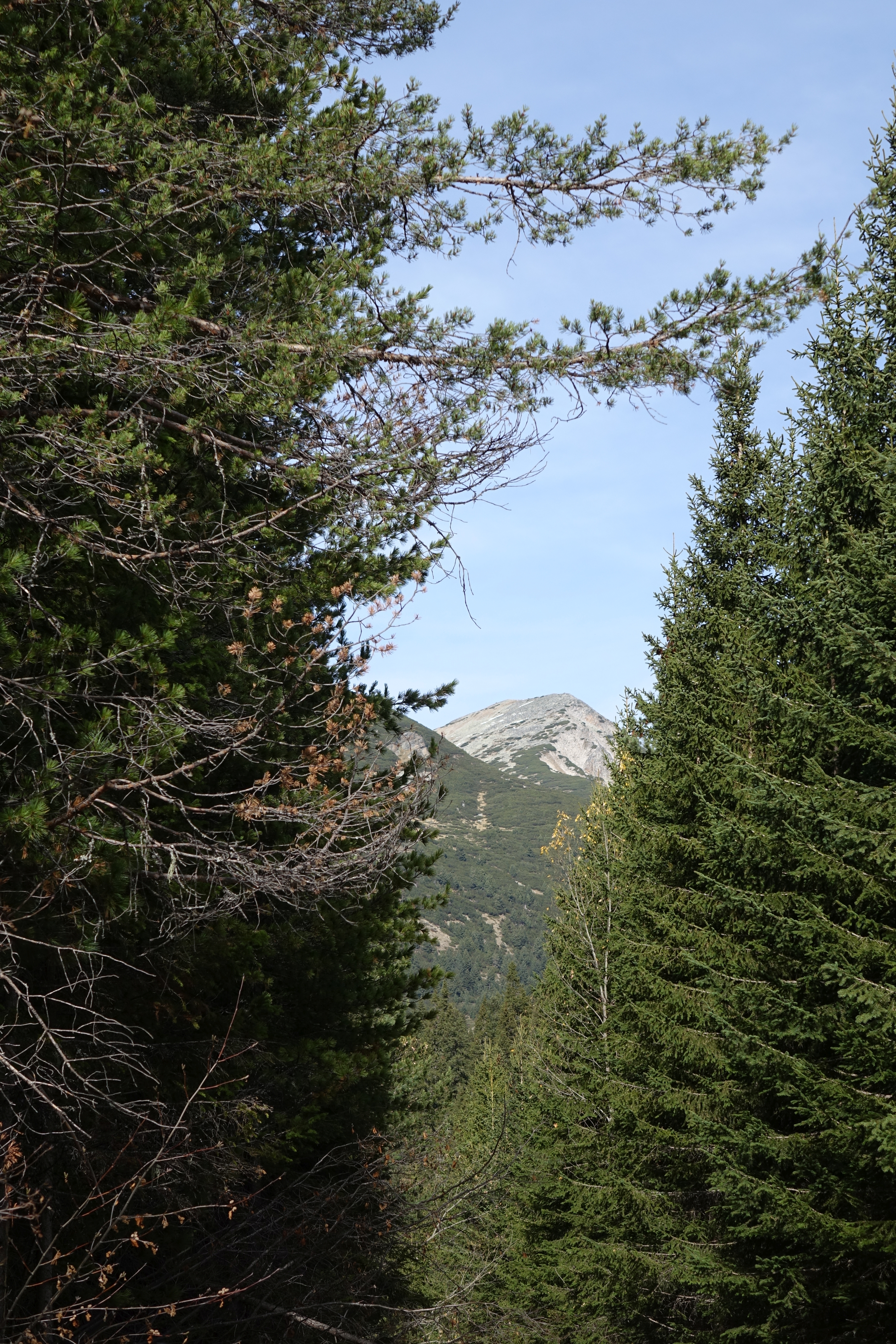 DSC05763