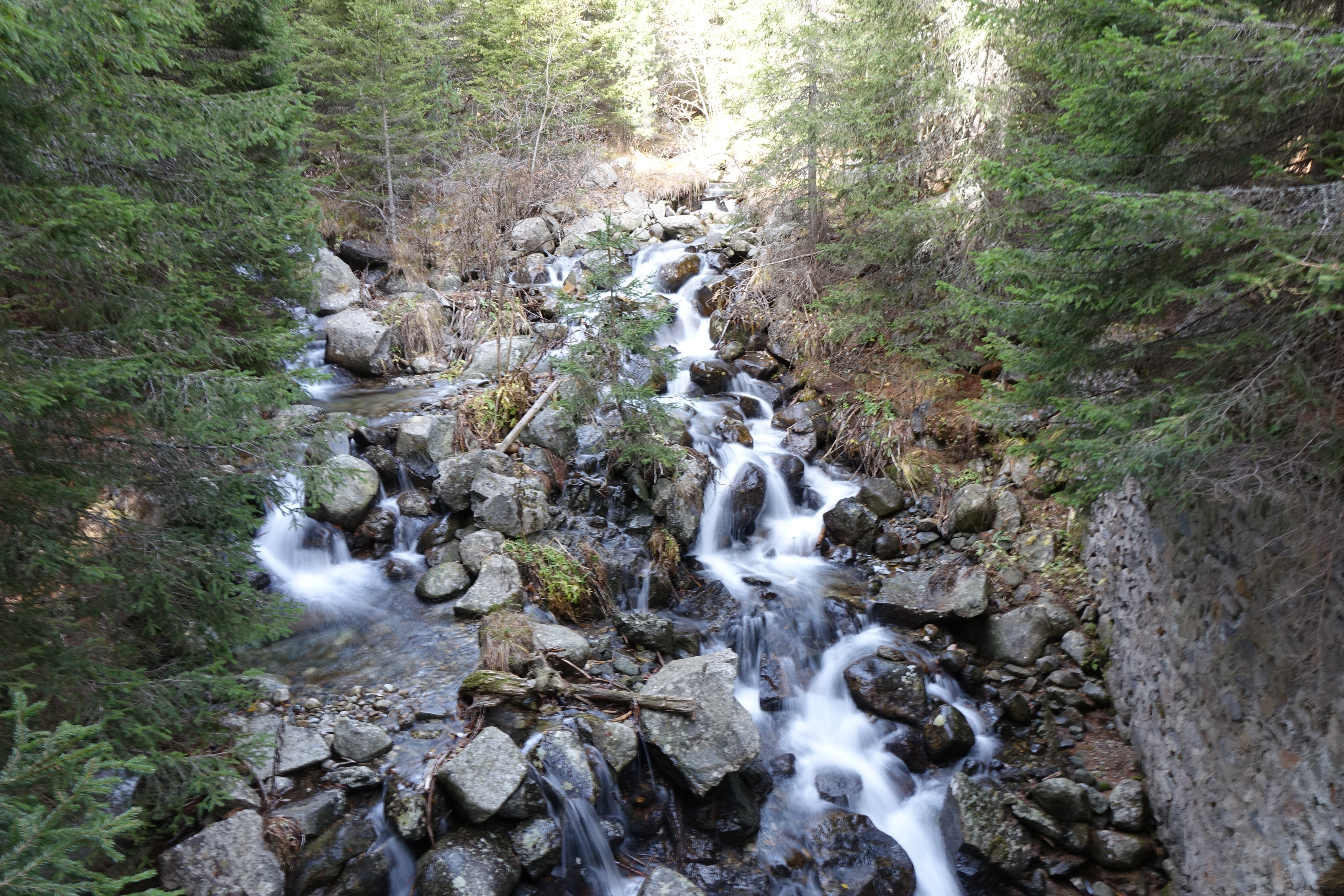 DSC05769