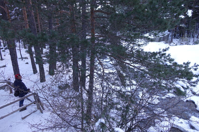 DSC06227