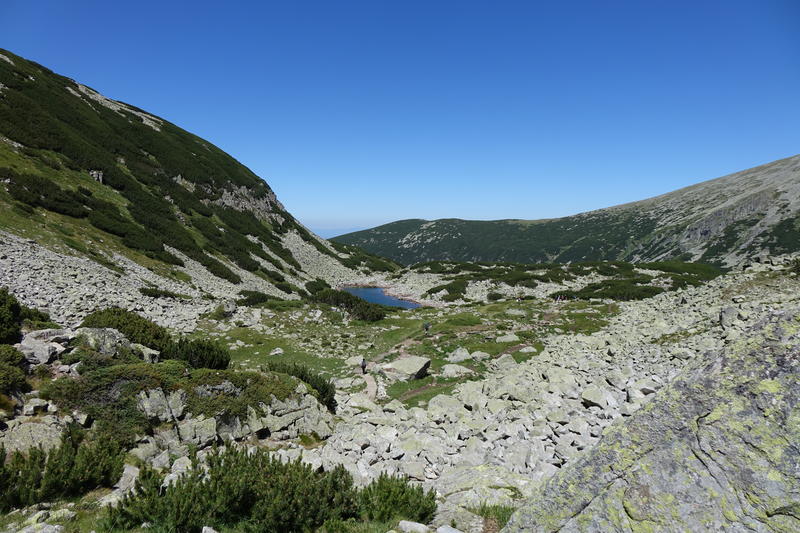 DSC07860