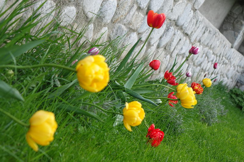 DSC08603