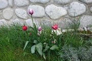 DSC08600
