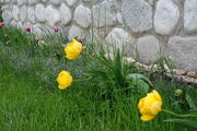 DSC08607