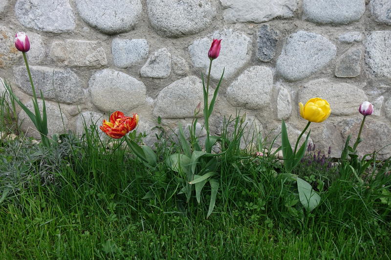 DSC08591