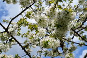 DSC09880