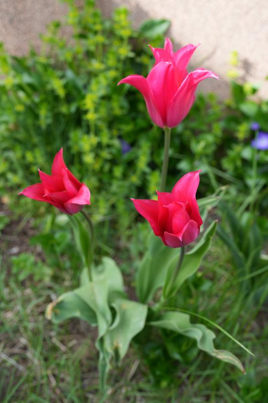 DSC09881