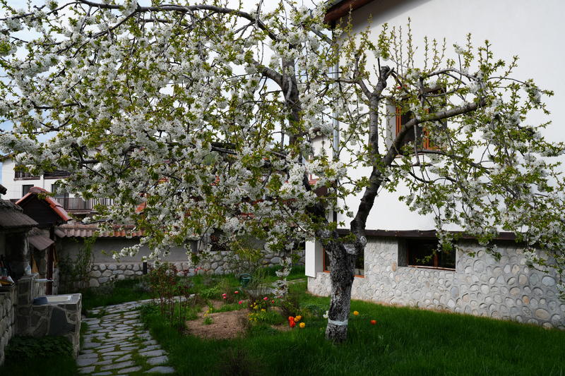 DSC09876