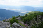 DSC09920