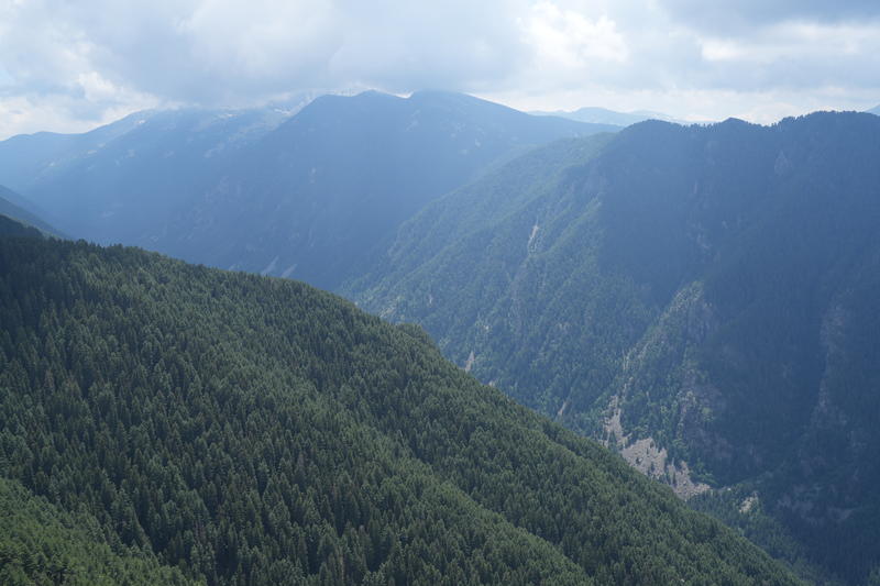 DSC09902