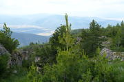 DSC09910