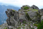 DSC09919