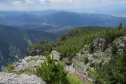 DSC09901