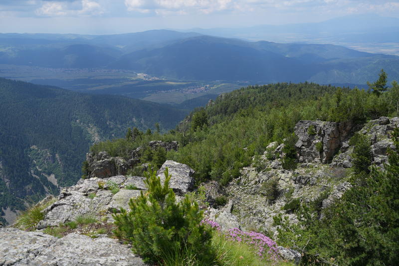 DSC09901