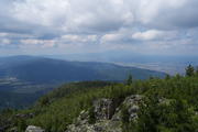 DSC09906