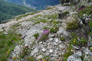 DSC09932