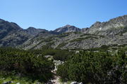 DSC09939